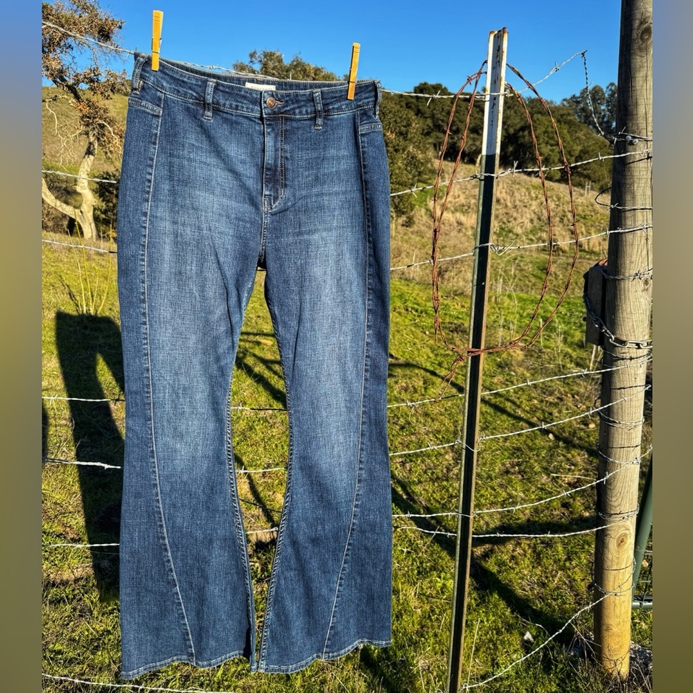 Shyanne flare cut jeans. Size W31xL34